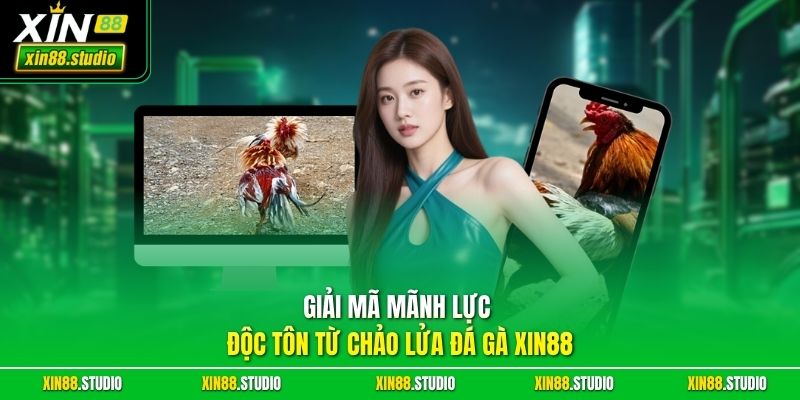 Giải Mã Mãnh Lực Độc Tôn Từ Chảo Lửa Đá gà xin88