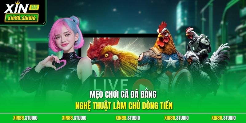 Mẹo chơi gà đá bằng nghệ thuật làm chủ dòng tiền
