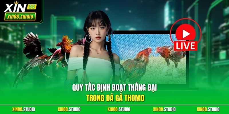 Quy tắc định đoạt thắng bại trong đá gà Thomo