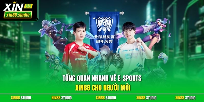 Tổng quan nhanh về E-sports xin88 cho người mới